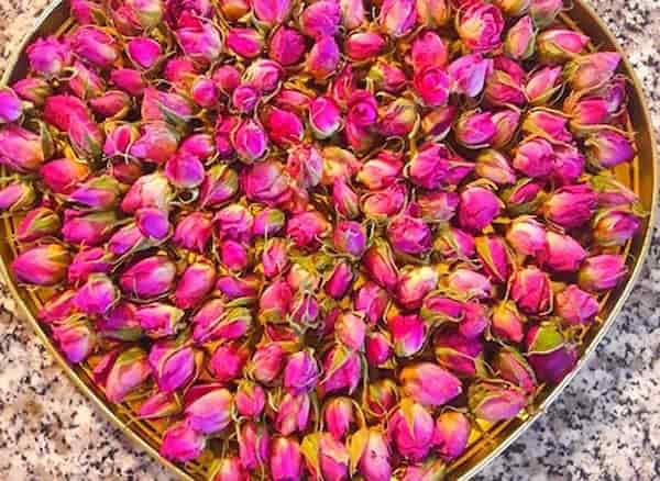 تصویر 2 از قیمت خرید غنچه گل محمدی لاله زار با فروش عمده